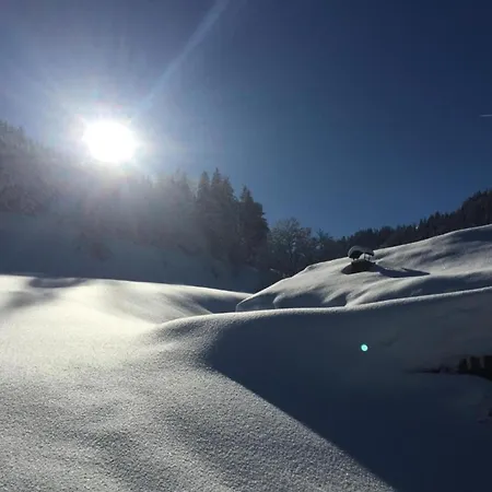 Flat In Near Slopes, Cleaning Included Lejlighed Mittersill