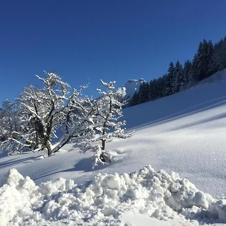 Lejlighed Flat In Near Slopes, Cleaning Included